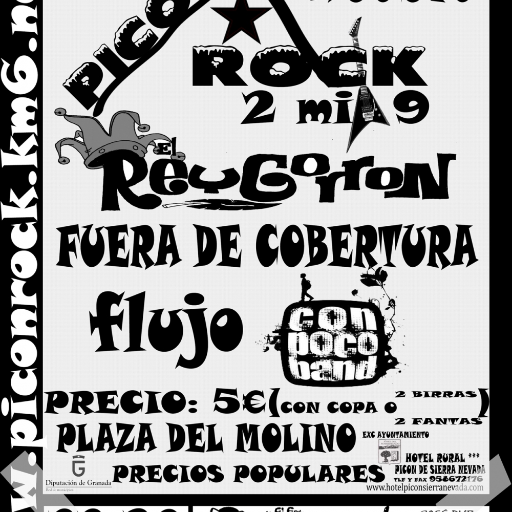 Cartel Piconrock 2009